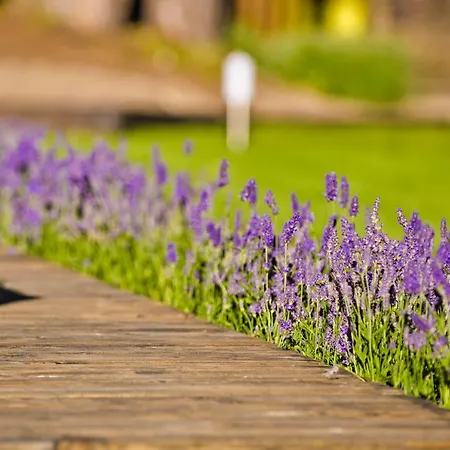 Na Brackiej 포비에로보