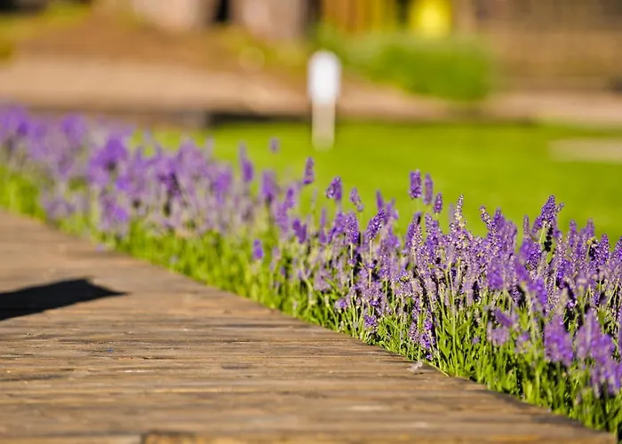 Na Brackiej ポビエロボ